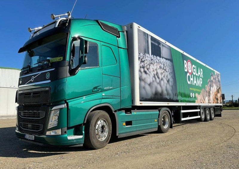 Încărcați imaginea în vizualizatorul Galerie, Inscripționare prin colantare Cars, Trucks &amp; Vans
